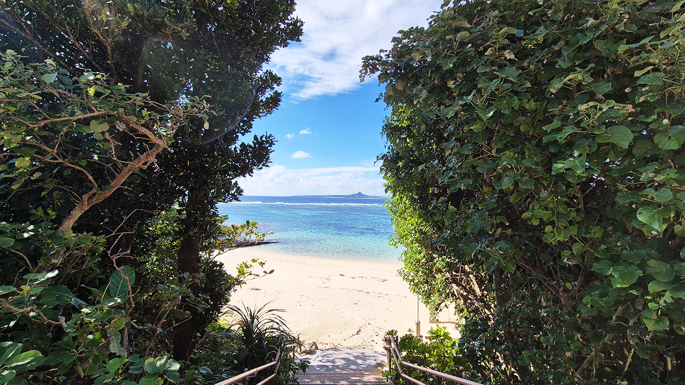 WITIVE 2025 Okinawa Team Workshop – Moving Beyond Collaboration Toward Connection