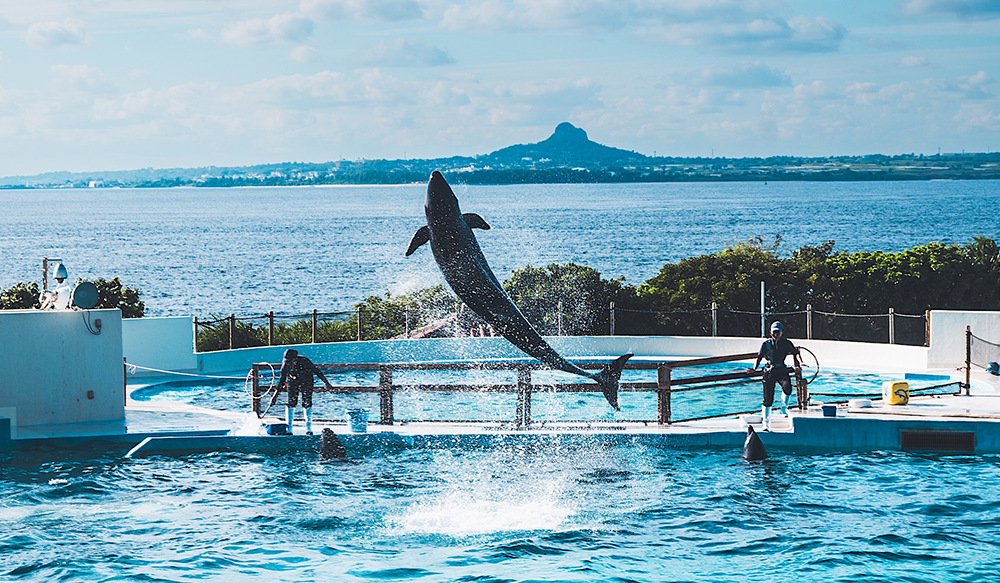 (주)위티브, 2025 오키나와 팀 워크샵 진행 – 협업을 넘어 연결로 나아간 시간