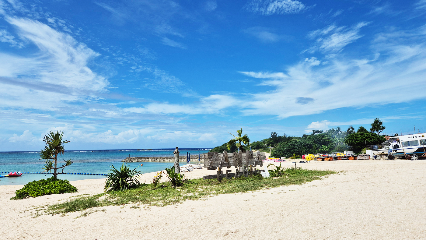 오키나와 현지 팀 프로그램